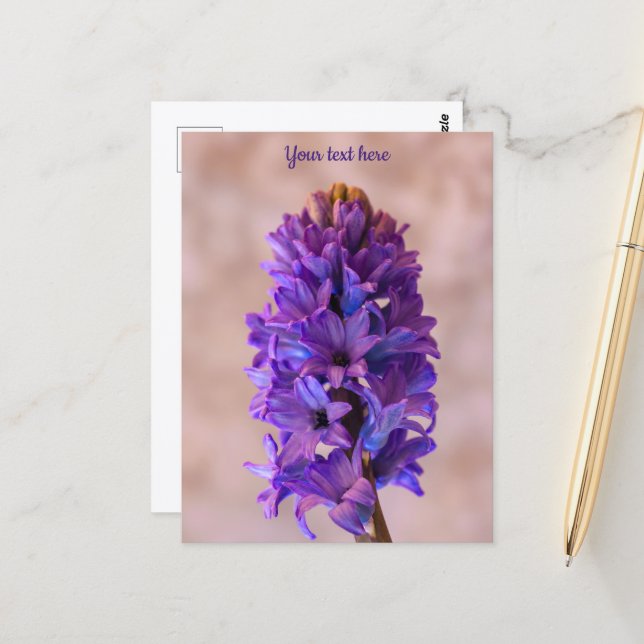 Blue Hyacinth Postcard Postkarte (Vorderseite/Rückseite Beispiel)