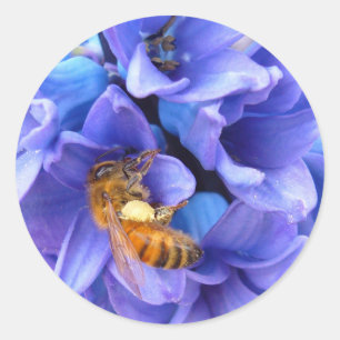 BLUE HYACINTH ~ Stickers