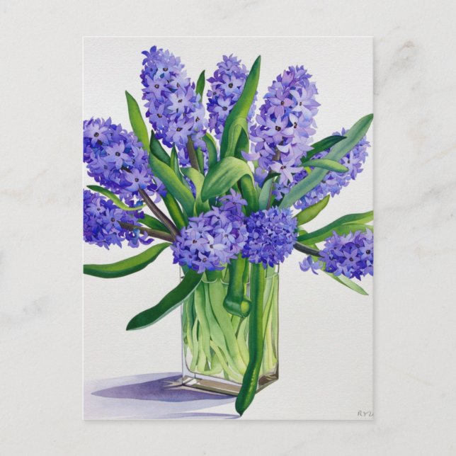 Blue Hyacinths Postkarte (Vorderseite)