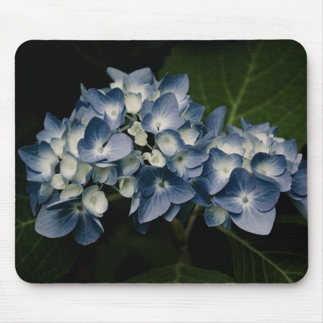 Blue Hydrangea 8514 Mousepad (Vorne)