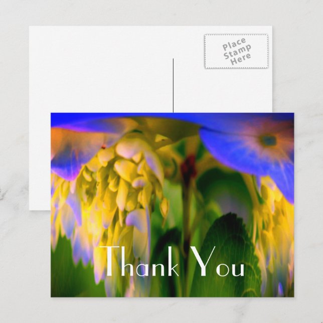 Blue Hydrangea Abstrakt Floral Vielen Dank Postcar Postkarte (Vorne/Hinten)