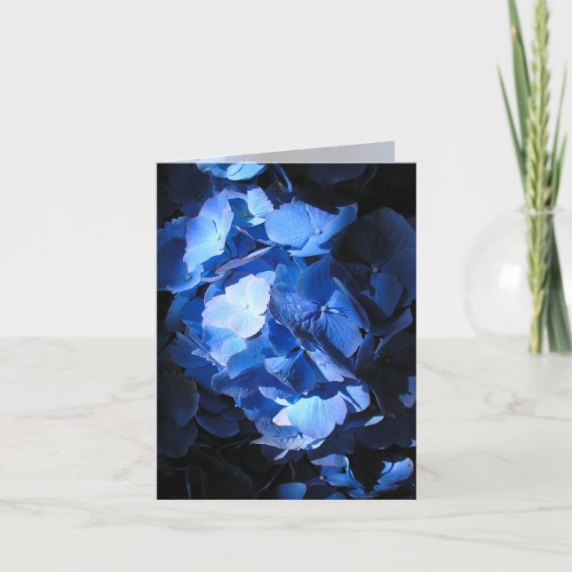 Blue Hydrangea - Anmerkung Karte (Vorderseite)