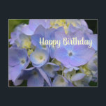 Blue Hydrangea Birthday Scripture Blank Postcard Postkarte<br><div class="desc">Hydrangea birthday greeting postcard with scripture template on back. Made for a friend's birthday with scripture from Proverbs 17:17 which reads in part, "A friend loves at all times". The pretty flower image on the front is of a lavender blue hydrangea flower. "Happy Birthday" on the front can be changed,...</div>