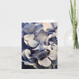 Blue Hydrangea Blank Notecards Karte