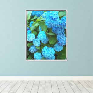 Blue Hydrangea Blooms Floral Leinwanddruck