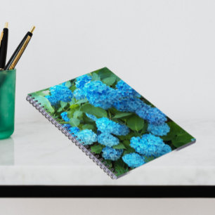 Blue Hydrangea Blooms Floral Notizblock