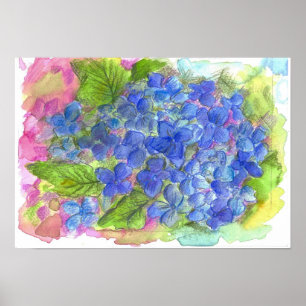 Blue Hydrangea Blume Aquarellmalerei Poster