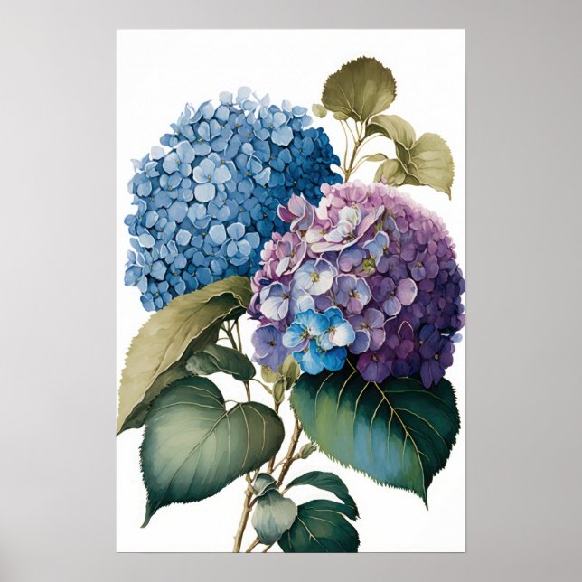 Blue Hydrangea Blume Art Print Poster (Vorne)