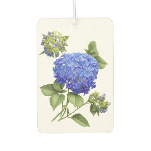 Blue Hydrangea Blume Botanische Kunst Design Autolufterfrischer