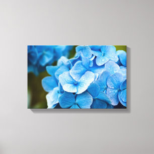 Blue Hydrangea Blume Canvas print Leinwanddruck