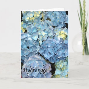 Blue Hydrangea-Blume Karte