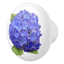 Blue Hydrangea-Blume