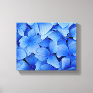 Blue Hydrangea-Blume Leinwanddruck
