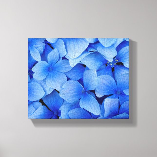 Blue Hydrangea-Blume Leinwanddruck (Vorderseite)