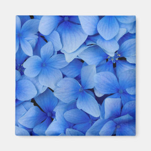Blue Hydrangea-Blume Magnet