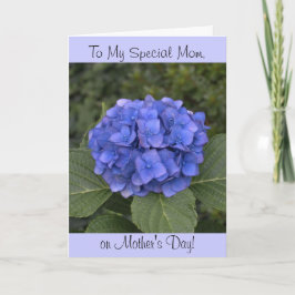 Blue Hydrangea Blume Muttertagskarte Karte