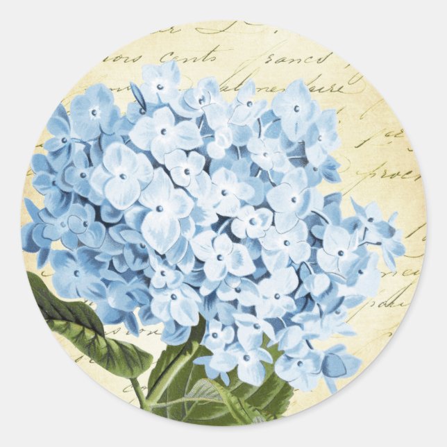 Blue Hydrangea Blume Vintag Botanical Runder Aufkleber (Vorderseite)