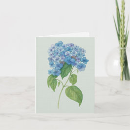 Blue Hydrangea Botanical Art Card — Blank Notecard Karte