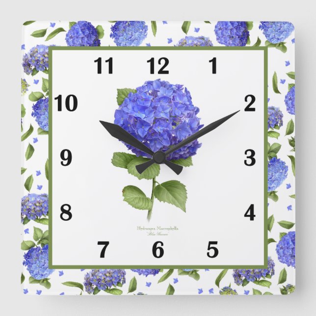 Blue Hydrangea Botanical Art Square Uhr (Vorderseite)