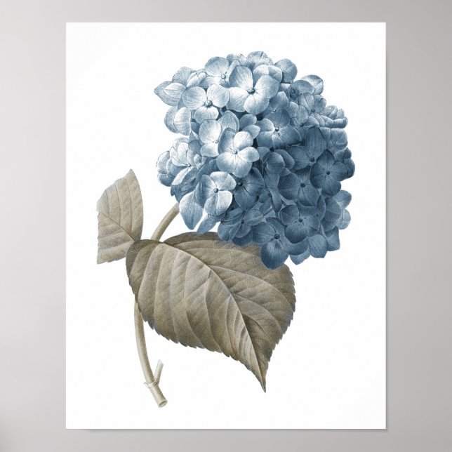 Blue Hydrangea Botanical Artwork Nr. 2 Poster (Vorne)