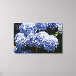 Blue Hydrangea Canvas Print Leinwanddruck