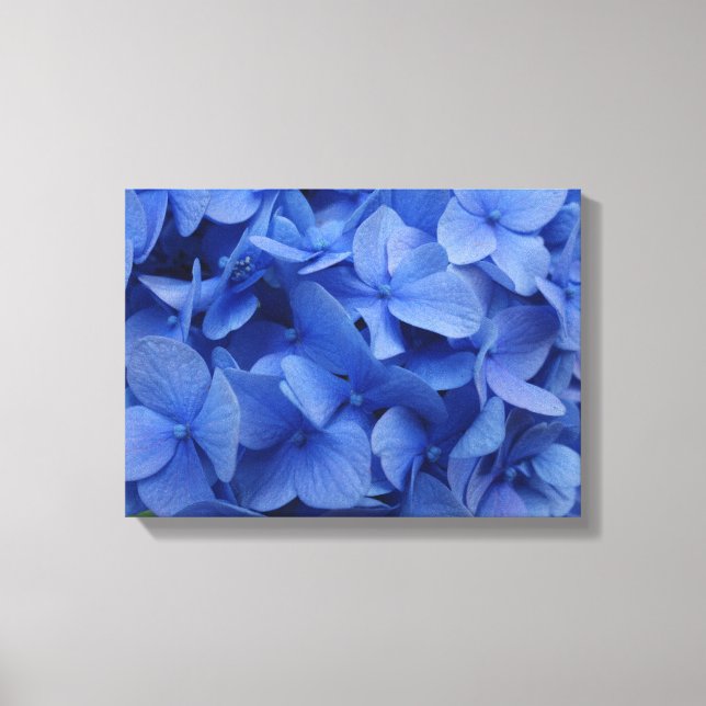 Blue Hydrangea Canvas Print Leinwanddruck (Vorderseite)