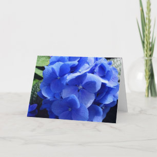 Blue Hydrangea Card Karte