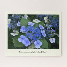 Blue Hydrangea Collvable Blume Puzzle