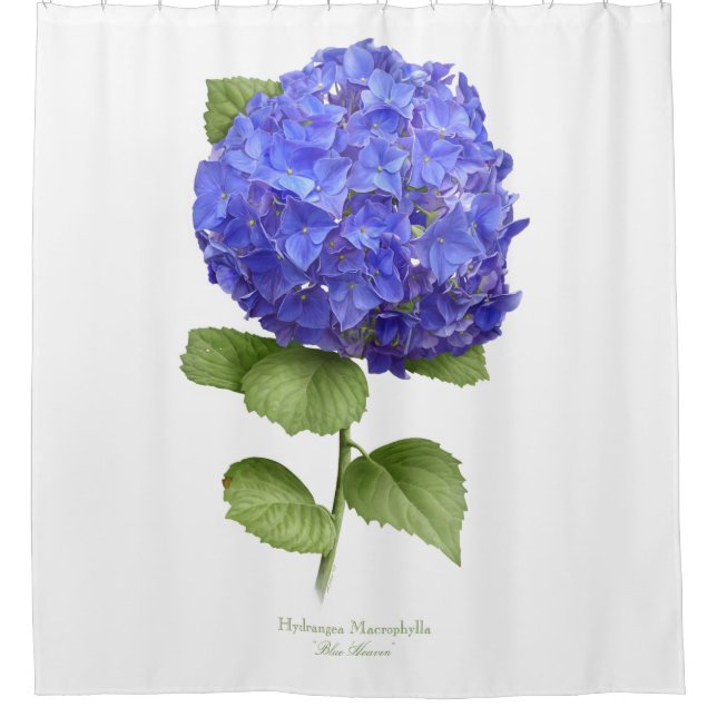 Blue Hydrangea Duschvorhang (Vorderseite)