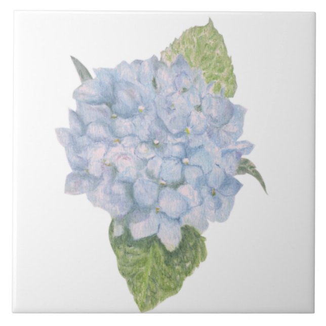 Blue Hydrangea Fliese (Vorderseite)