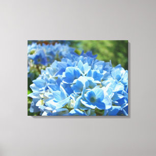 Blue Hydrangea Floral Leinwand Fotokunst drucken
