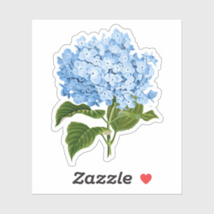 Blue Hydrangea GrandMillennium Aufkleber