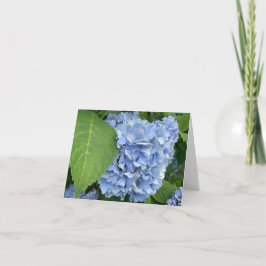 Blue Hydrangea (Hydrangea macrophylla) Karte