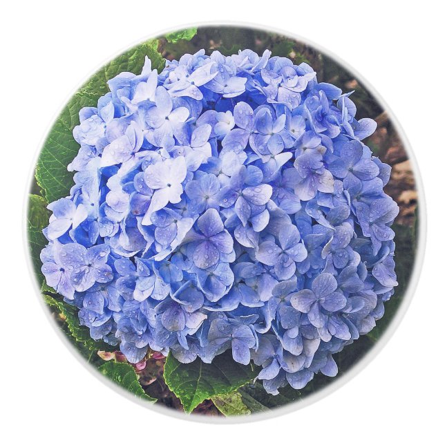 Blue Hydrangea Keramikknauf (Vorderseite)