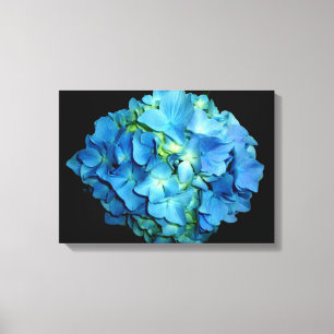 Blue Hydrangea Leinwanddruck