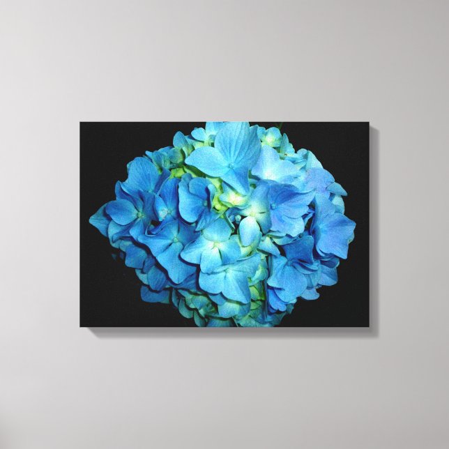 Blue Hydrangea Leinwanddruck (Vorderseite)