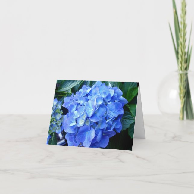 Blue Hydrangea Note Card Karte (Vorderseite)