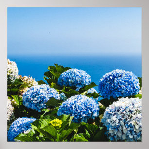 Blue Hydrangea on Gradient ocean Jigsaw Puzzle Poster