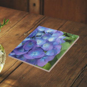 Blue Hydrangea Petals Floral Fliese