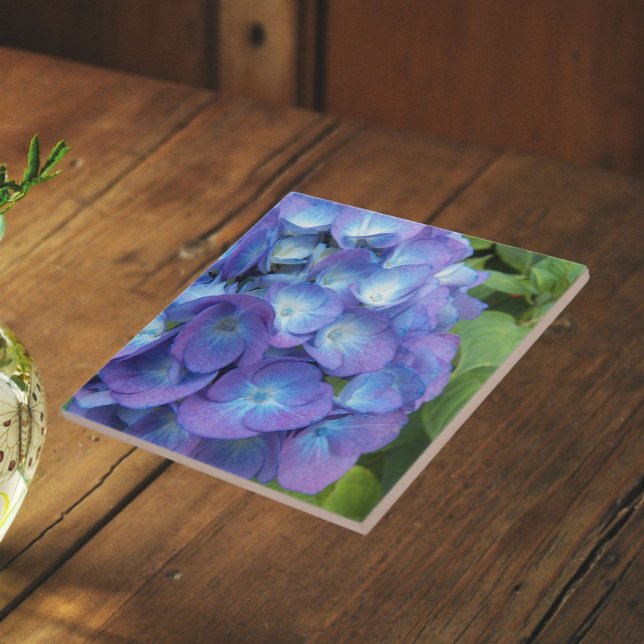 Blue Hydrangea Petals Floral Fliese (In Situ)