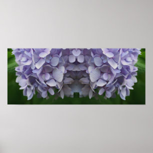 Blue Hydrangea Petals Mirror Abstrakt Poster
