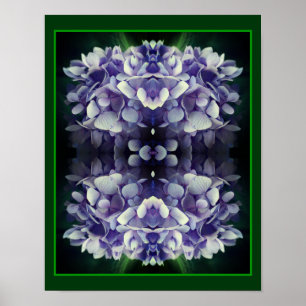 Blue Hydrangea Petals Nah Abstrakt Poster