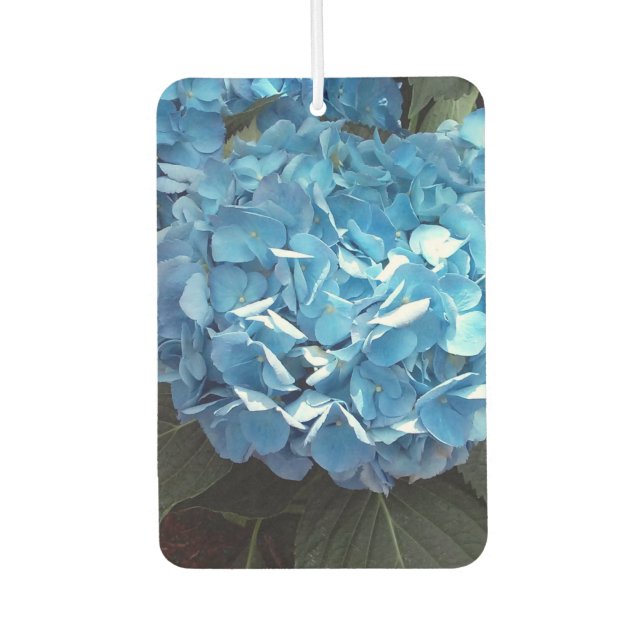 Blue Hydrangea Portrait Rectangle Air Freshener Autolufterfrischer (Vorderseite)