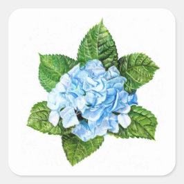 Blue Hydrangea Quadratischer Aufkleber