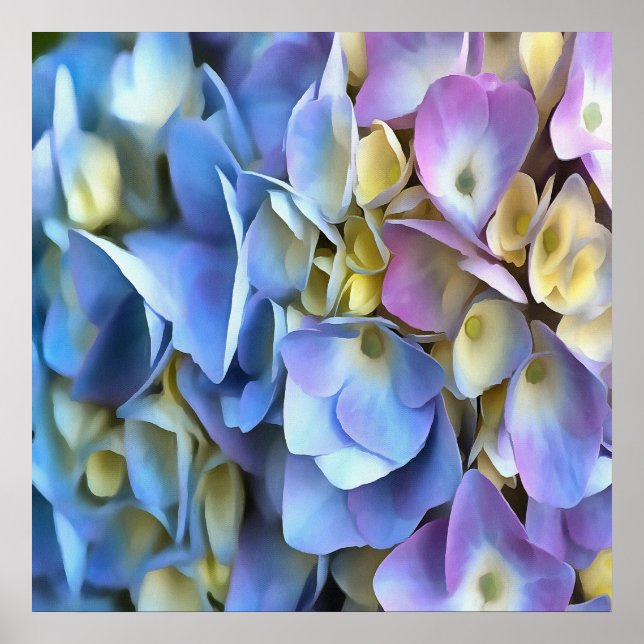 Blue Hydrangea Shrub Artistic Bossom Poster (Vorne)