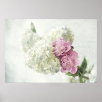 Blue Hydrangea und Pink Peony Print