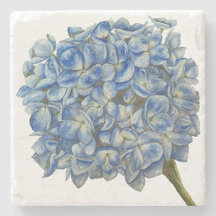 Blue Hydrangea Untersetzer