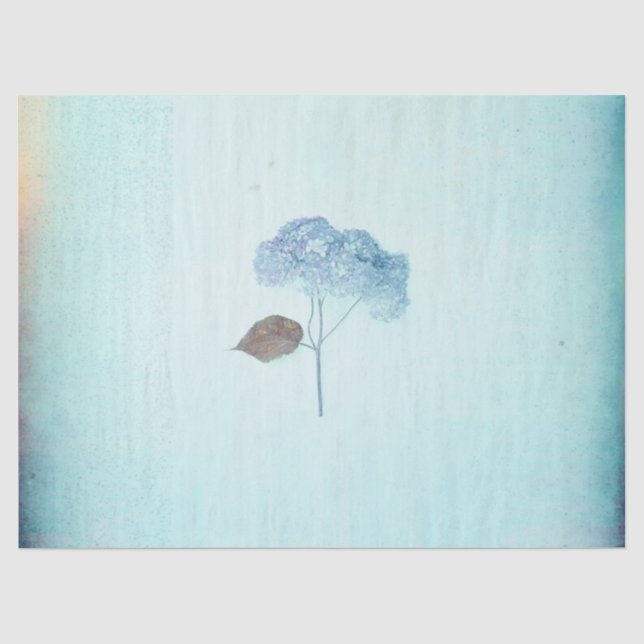 Blue Hydrangea Vintage Blüte Rustikale Antike Seidenpapier (Vorderseite)