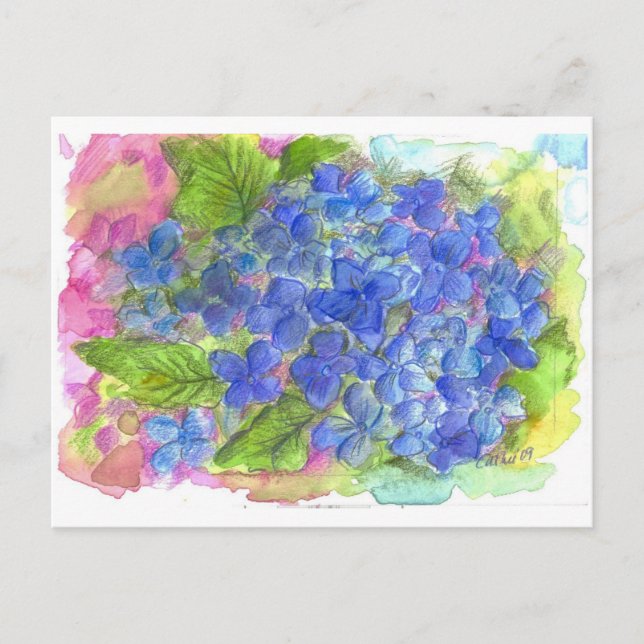 Blue Hydrangea Wasserfarbe Blume Art Postkarte (Vorderseite)
