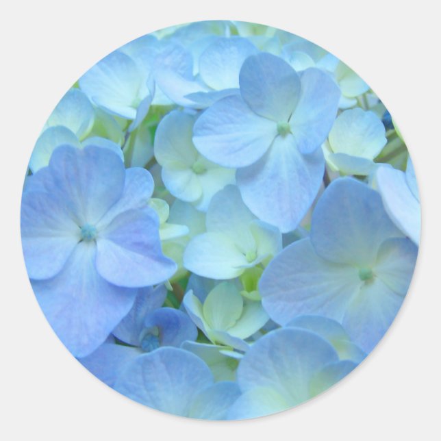 Blue Hydrangeas Aufkleber Siegel Blume Floral (Vorderseite)